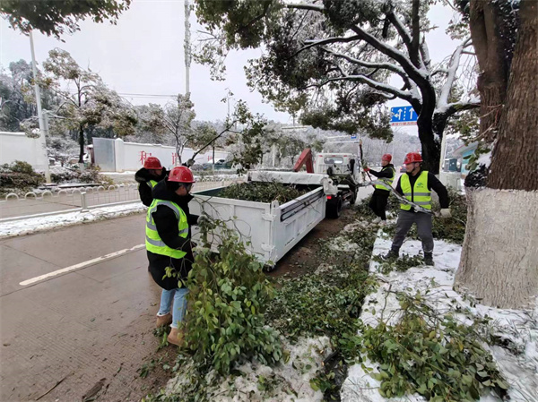 65c1ca5225bd6.jpg 图6.jpg