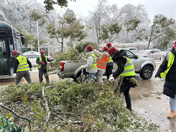 65c1cad2a7a51.jpg 图3.jpg